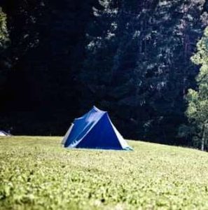 camping
